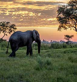 voyage et sejour Botswana