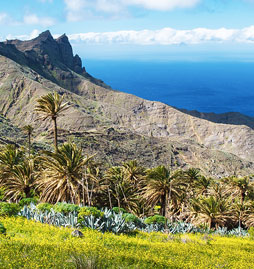 iles Canaries