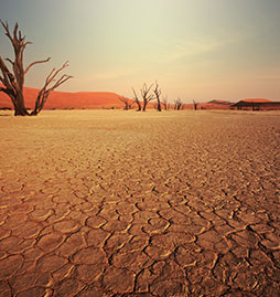 voyage et sejour Namibie