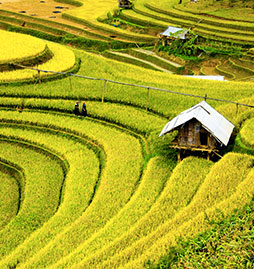 voyage et sejour Vietnam