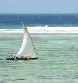 combinés circuit et séjour Zanzibar