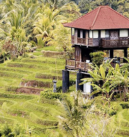 combinés d'hôtels Bali