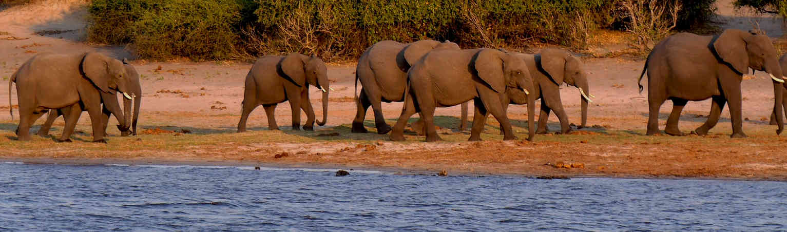 Voyages et séjours au Botswana | Offres pas chères et bons plans