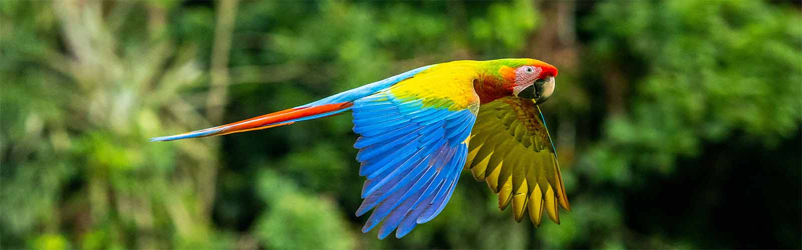 Voyages et séjours au Costa Rica | Offres pas chères