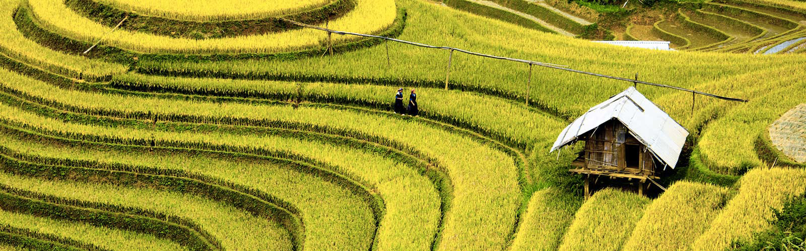 Voyages et séjours au Vietnam | Offres pas chères et bons plans