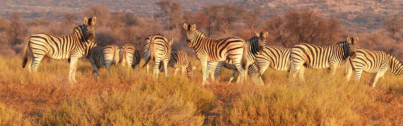 Résultats de recherche – Voyages et séjours pas chers